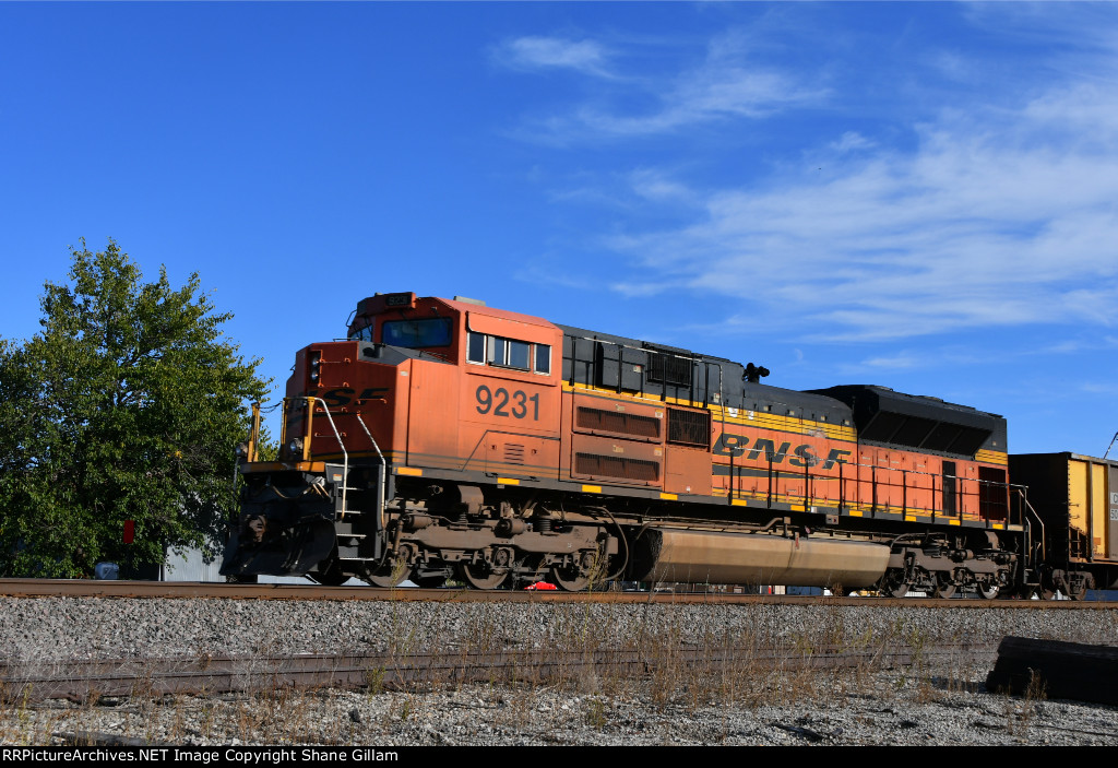 BNSF 9231 Roster shot